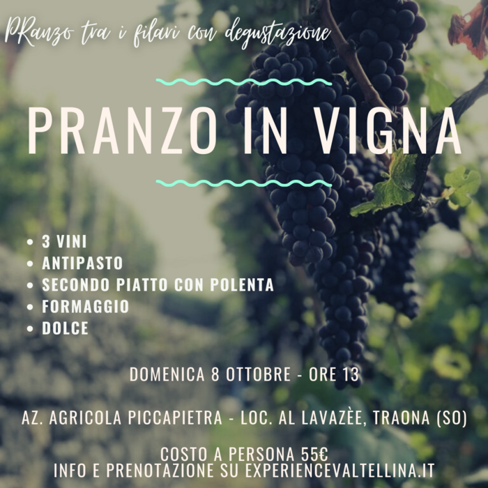 Pranzo in vigna