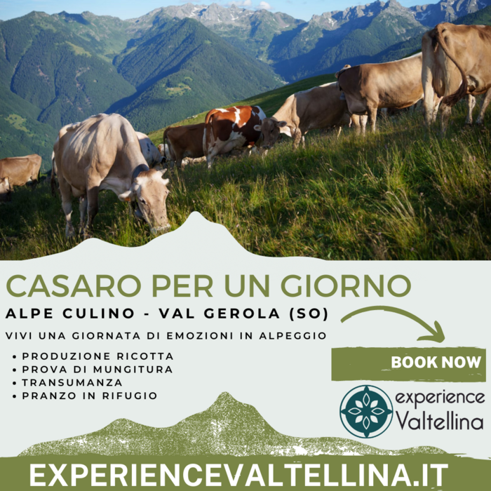Casaro per un giorno