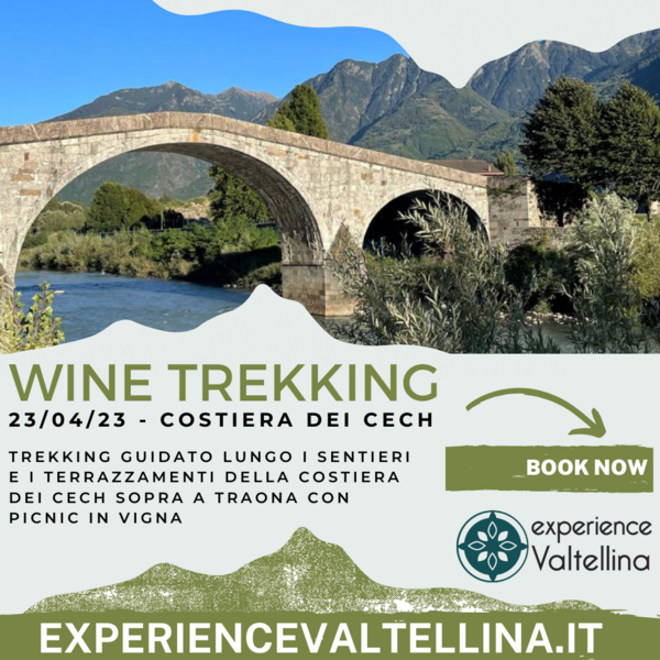 Wine Trekking con picnic in vigna - 23/4/23