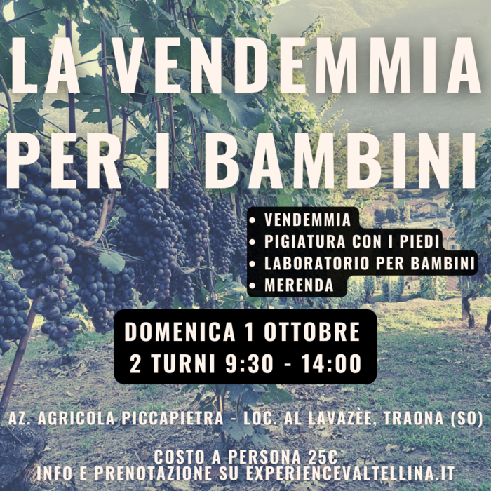 La vendemmia per i bambini