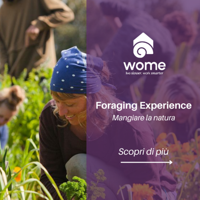 Team Building - Foraging