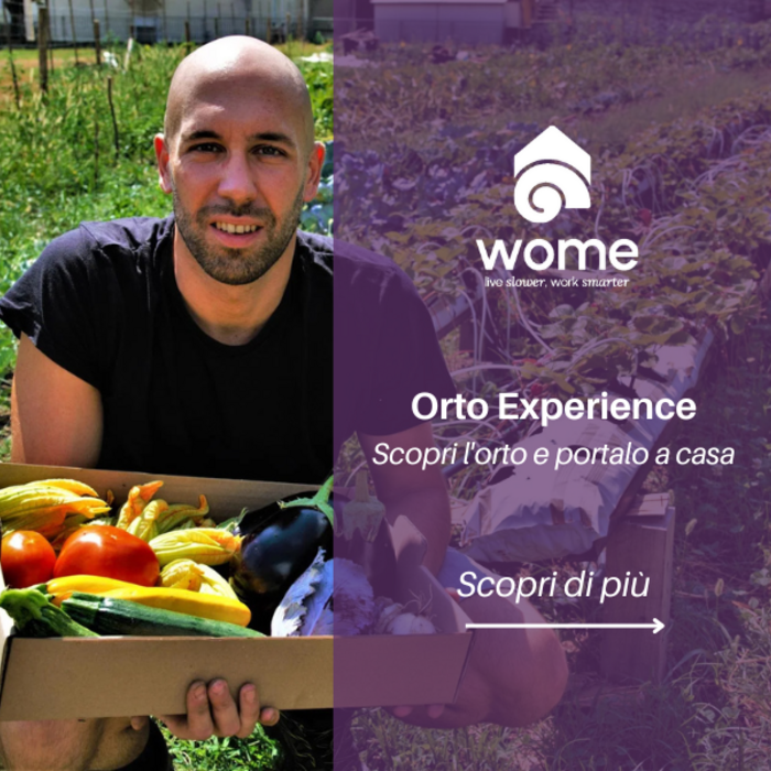 Team Building - Orto Experience